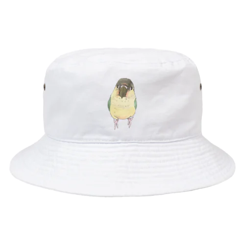 可愛いウロコメキシコインコちゃん【まめるりはことり】 Bucket Hat