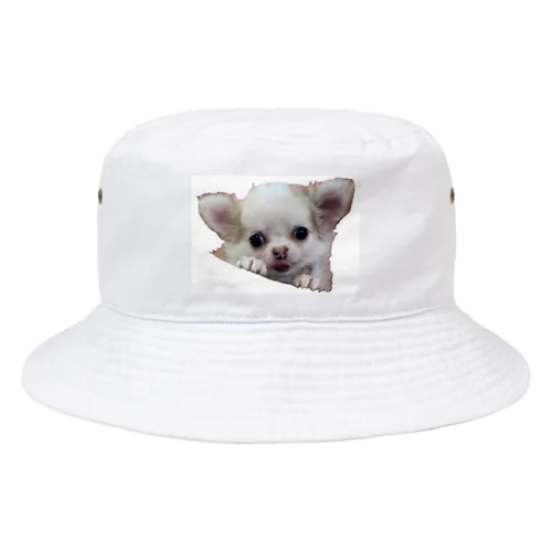 もぐもぐたん Bucket Hat