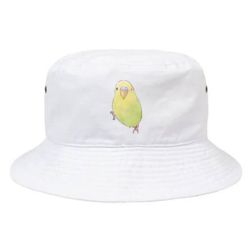 ウィンクするセキセイインコちゃん【まめるりはことり】 Bucket Hat