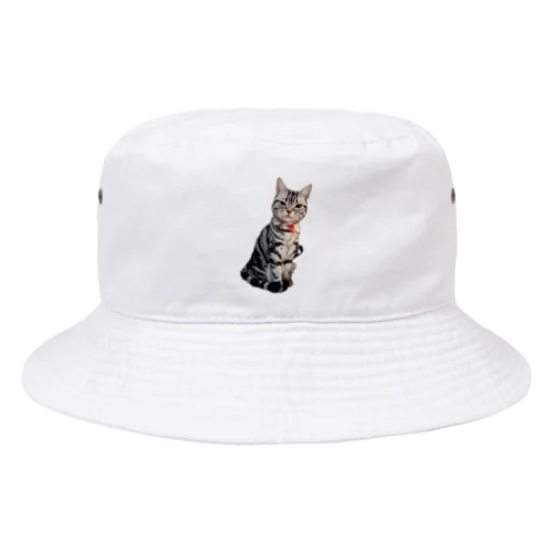 猫のトォーラ Bucket Hat