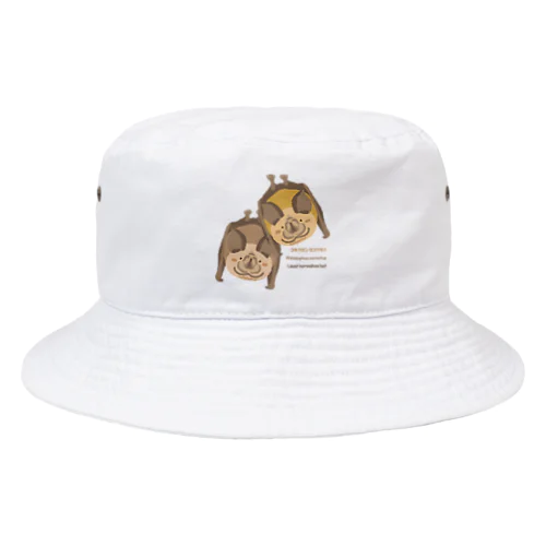 コキクガシラコウモリ Bucket Hat