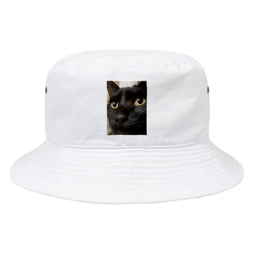 黒猫天ちゃん Bucket Hat