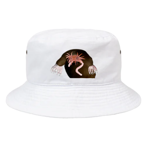 ホシバナモグラセット Bucket Hat