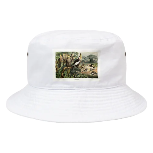 オカメインコ Bucket Hat