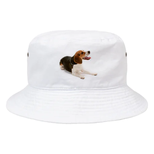 ビーグル犬 Bucket Hat