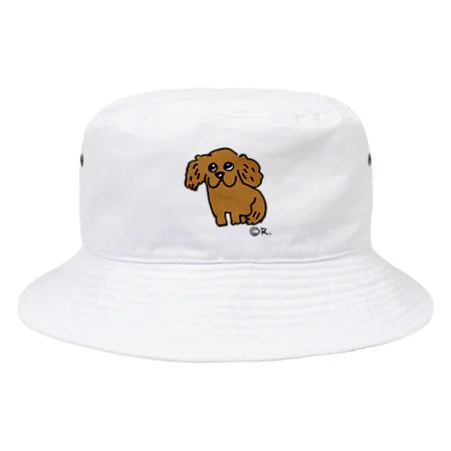 キャバリアーず Bucket Hat