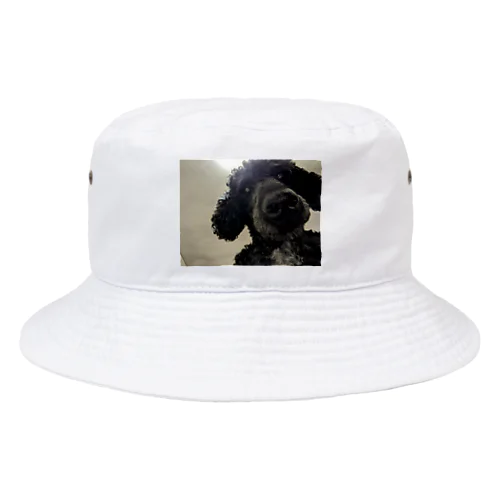 覗く犬 Bucket Hat