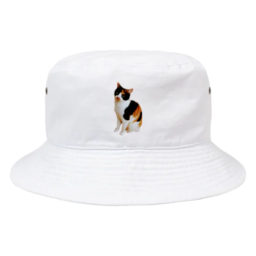 三毛猫リネンちゃん Bucket Hat