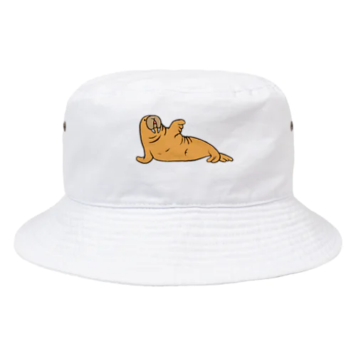 セイウチ Bucket Hat