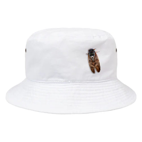 あ！虫止まってる（アブラゼミ）h.t. Bucket Hat