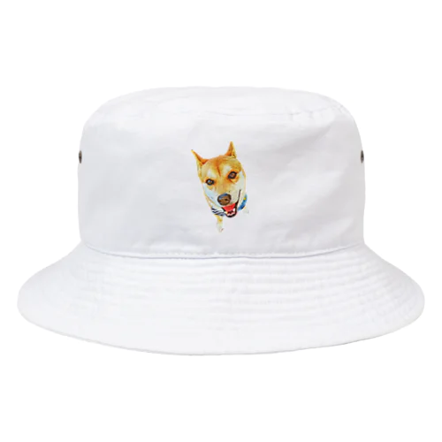 まめた🐕 Bucket Hat