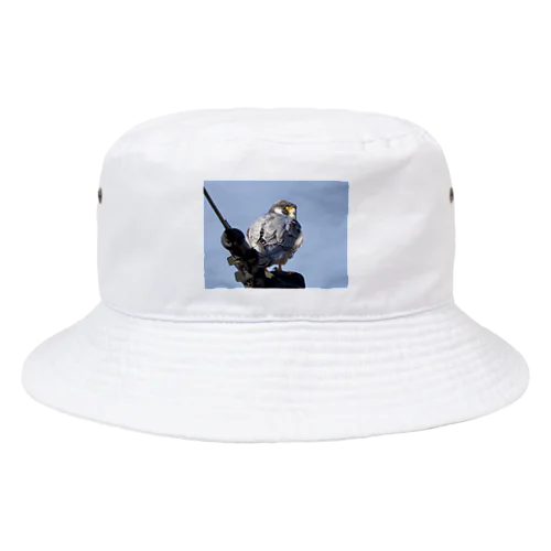 カッコイイハヤブサ Bucket Hat