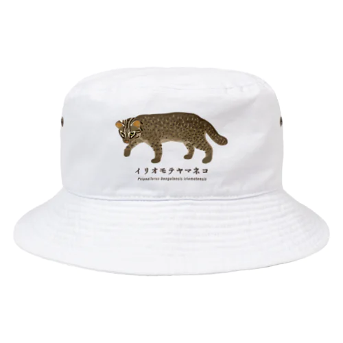 イリオモテヤマネコ Bucket Hat