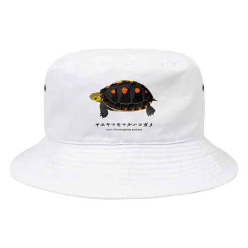 ヤエヤマセマルハコガメ Bucket Hat