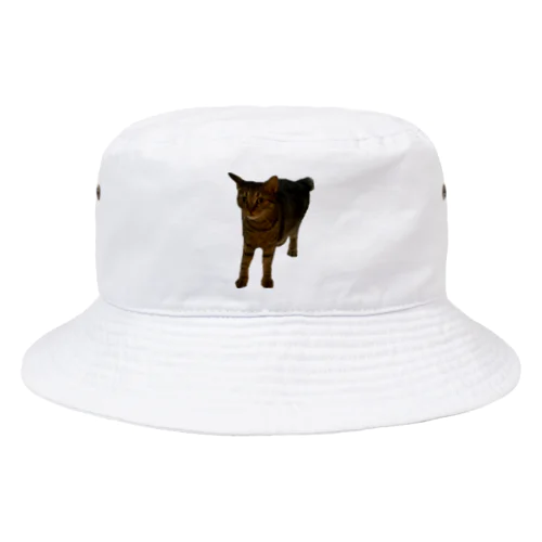 びっくりキリちゃん Bucket Hat