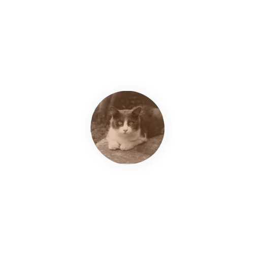 外猫さん（No.04） Tin Badge