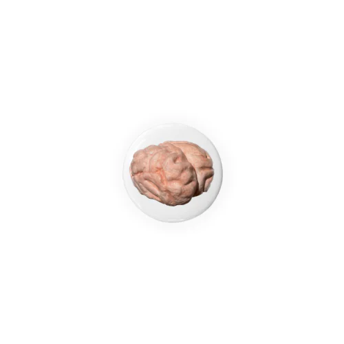 脳シリーズ Tin Badge