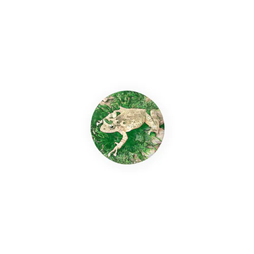 Fantastic Frog -Evergreen Version- Tin Badge