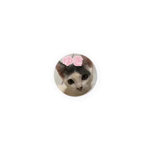 ねこぱんちセブン・シリーズ（ゆき）32ｍｍ 缶バッジ