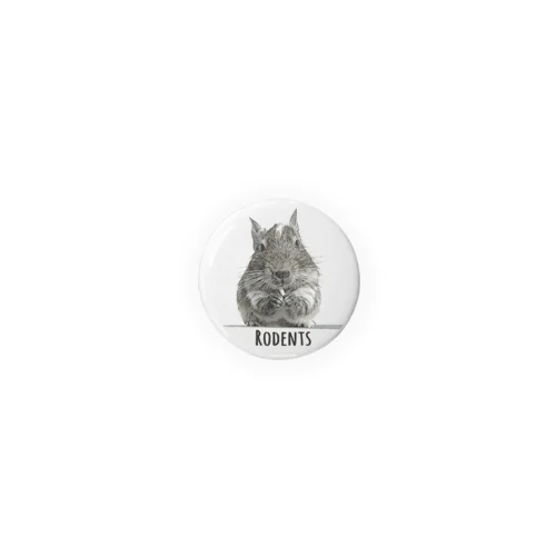 Rodents デグー　 Tin Badge