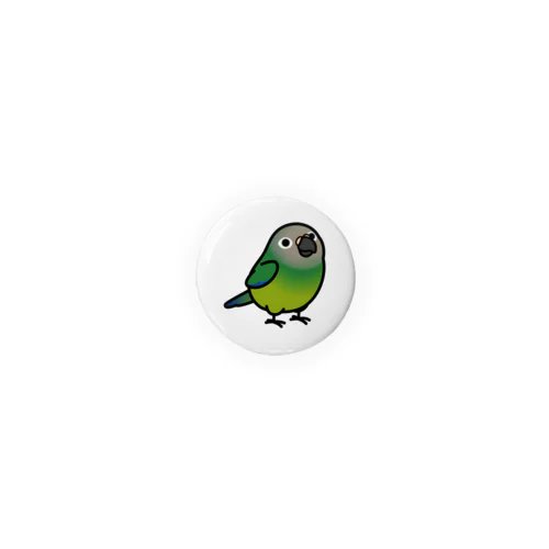 Chubby Bird シモフリインコ (32mm専用ページ） Tin Badge