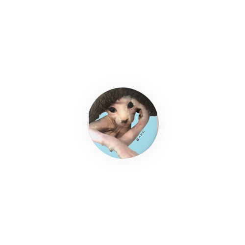 目の錯覚でアフロにも見えるほたて Tin Badge