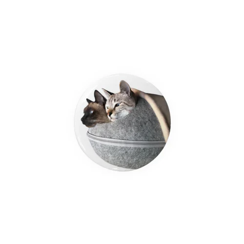 2 cats in nest Tin Badge