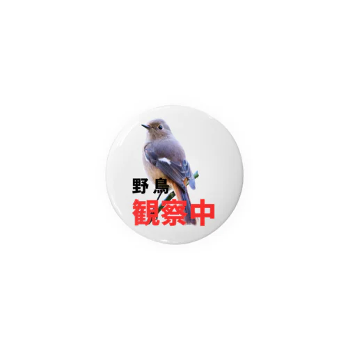 野鳥観察中(ジョビコ) 缶バッジ