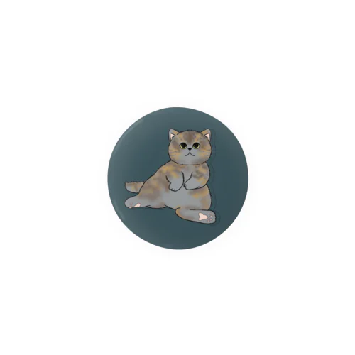 サビ猫です Tin Badge