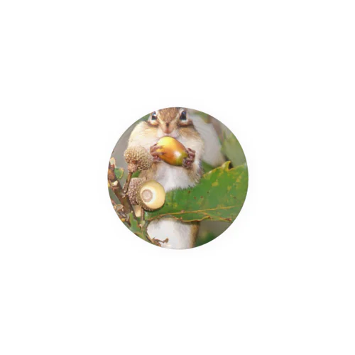 【もう１つ】サロベツで冬眠前のシマリス Tin Badge