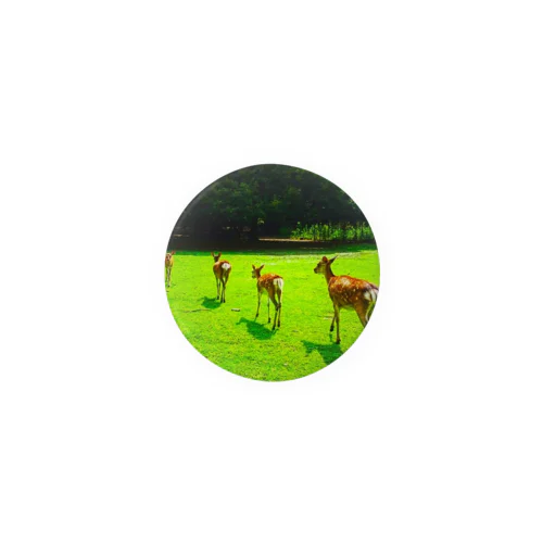 奈良公園の鹿が変える姿 캔뱃지
