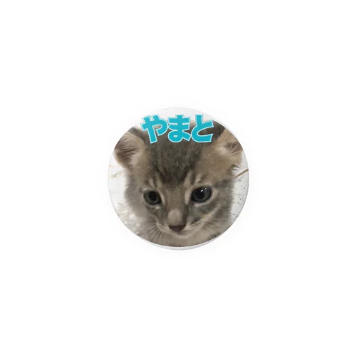 ねこぱんちセブン・シリーズ（やまと）44ｍｍ 缶バッジ