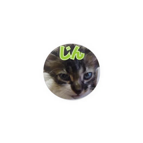 ねこぱんちセブン・シリーズ（じん）44ｍｍ Tin Badge