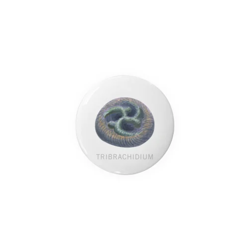 エディアカラ生物群　トリブラキディウム Tin Badge
