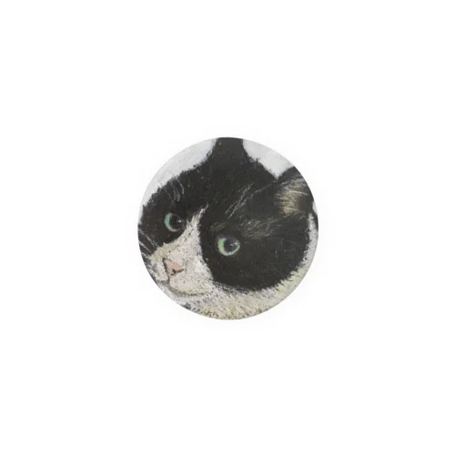 ピートくんバッジ1 Tin Badge