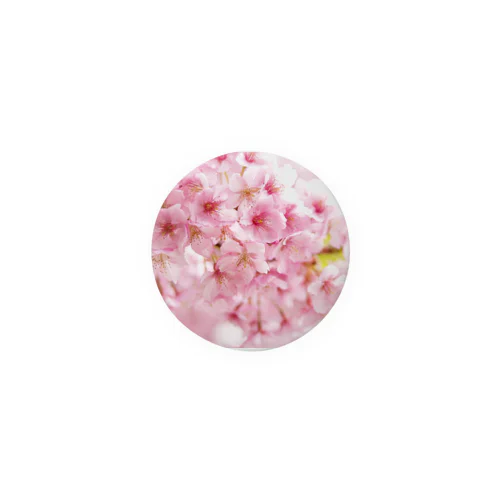 桜の樹の下で Tin Badge