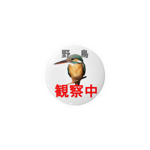 野鳥観察中(カワセミ) Tin Badge