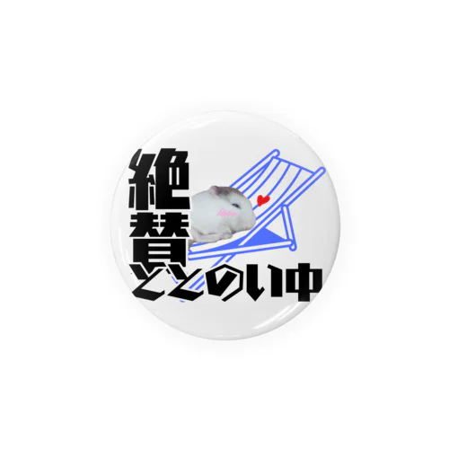 絶賛ととのい中ハムンズ Tin Badge