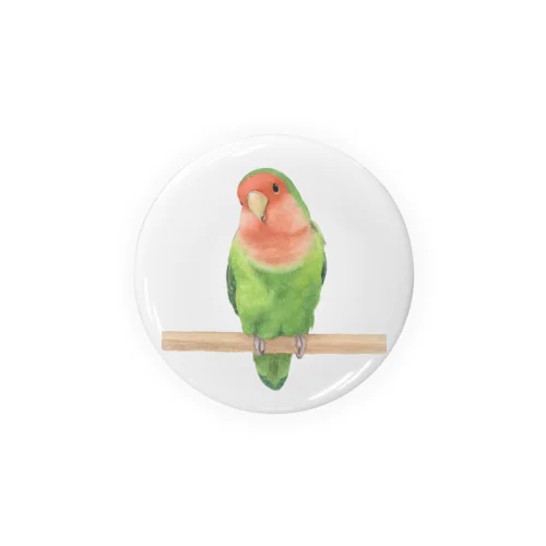 コザクラインコ Tin Badge