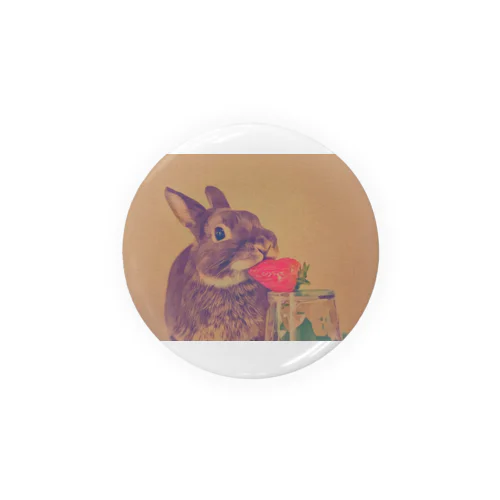 うさぎ🐇 Tin Badge