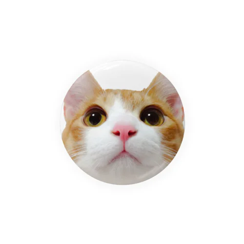 アイプチ猫みたらしカラー －壱－ Tin Badge