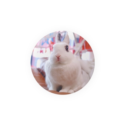 キリッとあんにん Tin Badge