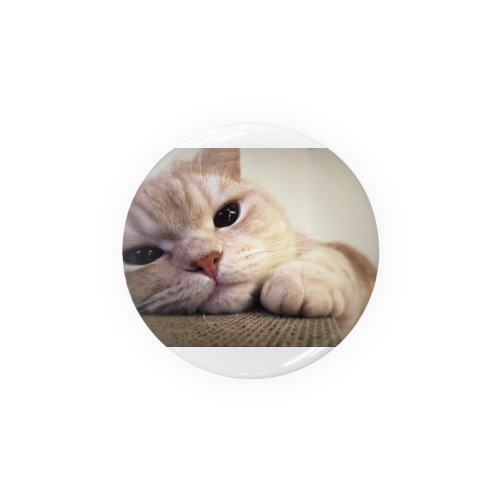 ぼくのクリームパンいる？マロン Tin Badge