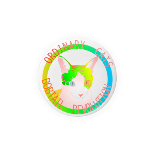 Ordinary Cats01h.t.(春) Tin Badge