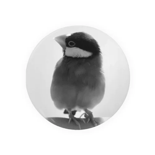 横を向く文鳥さん Tin Badge