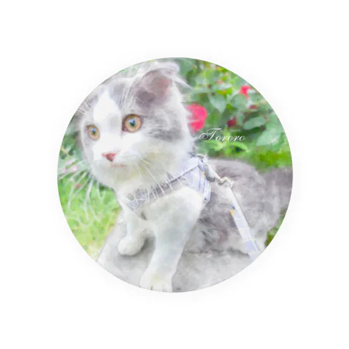 scottishfold_tororo Tin Badge