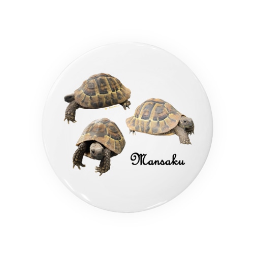 リクガメの万作 Tin Badge