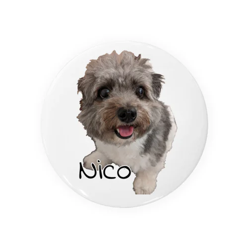 Nico Color Tin Badge