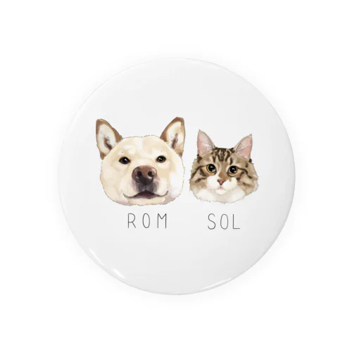 rom & sol Tin Badge