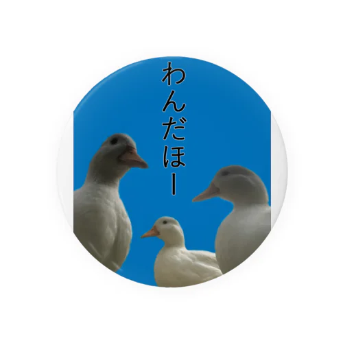 あひる3兄弟 Tin Badge